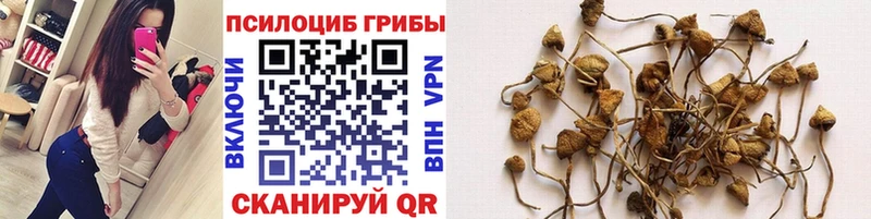 магазин    Находка  Псилоцибиновые грибы Magic Shrooms 